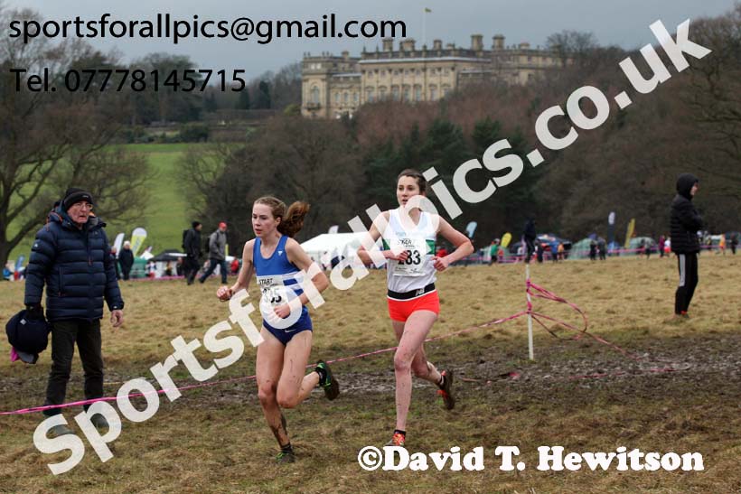 Senior women, 2018 Northern Cross Country Champs., Harewood House, Leeds. Photo: David T. Hewitson/Sports for All Pics